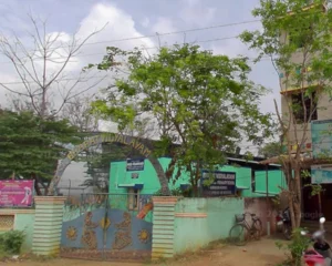 bharat-vidyalayam-nursery-and-primary-school-school-building-sivaganga